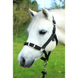 Gallop Headcollar and Leadrope set Black Shetland Headcollar & Lead Rope Barnstaple Equestrian Supplies