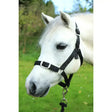 Black leather gallop headcollar with silver buckles and sturdy d-ring in an adaptable leadrope set