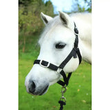 Black leather gallop headcollar with silver buckles and sturdy d-ring in an adaptable leadrope set