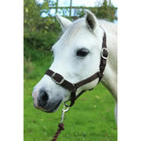 Brown leather gallop headcollar with silver buckles and metal ring leadrope set featuring an adaptable headcollar design