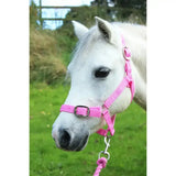 Pink nylon gallop headcollar with silver buckle and metal hardware in adaptable leadrope set for horses