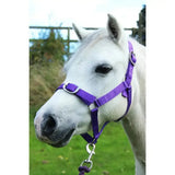 Purple nylon gallop headcollar with silver buckles and matching leadrope set for an adaptable fit
