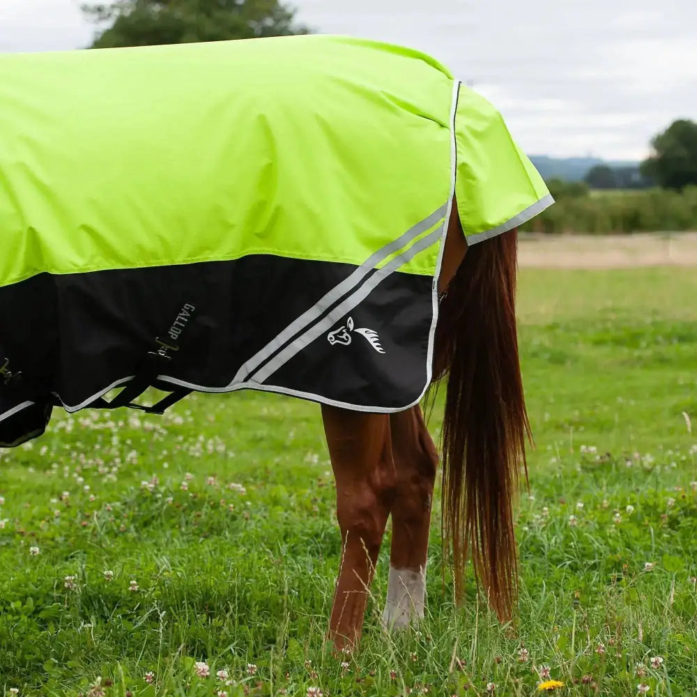 Gallop Hi-Vis 200g Medium Weight Turnout Rug Combo 4'9 Turnout Rugs Barnstaple Equestrian Supplies