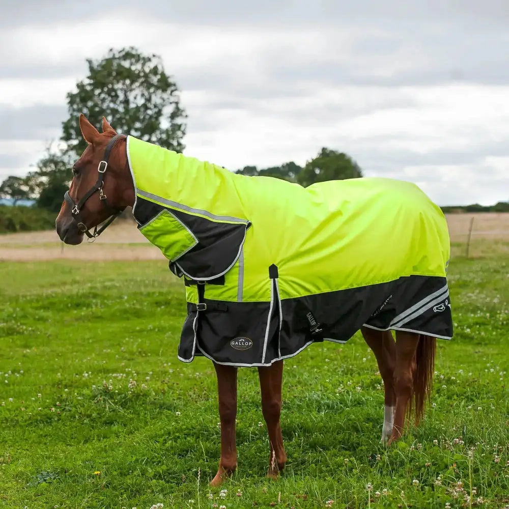 Gallop Hi-Vis 200g Medium Weight Turnout Rug Combo 4'9 Turnout Rugs Barnstaple Equestrian Supplies