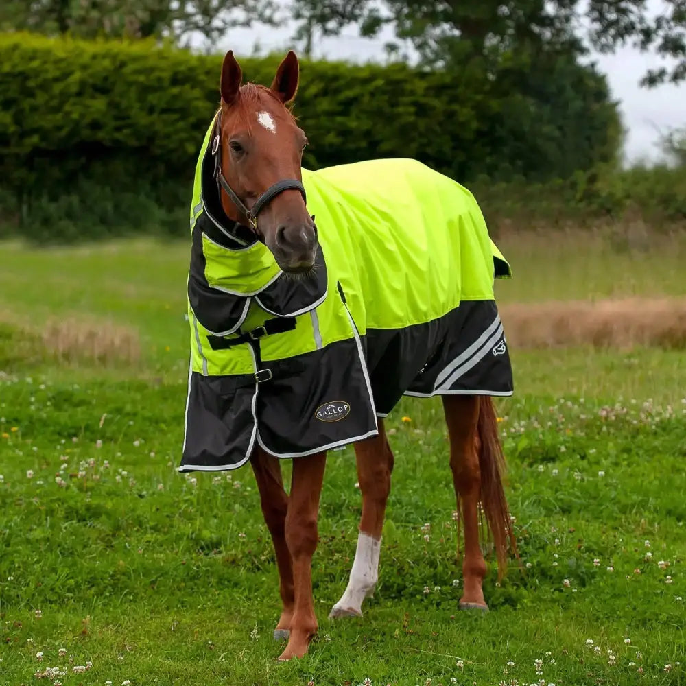 Gallop Hi-Vis 200g Medium Weight Turnout Rug Combo 4'9 Turnout Rugs Barnstaple Equestrian Supplies