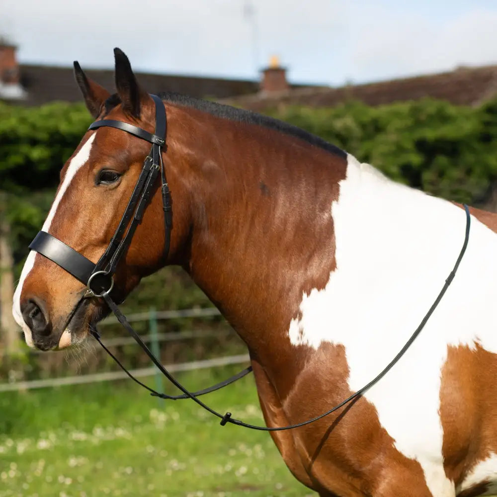 gallop hunter bridle