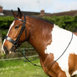 A sleek black leather gallop hunter bridle with polished metal hardware for a stylish hunter bridle look