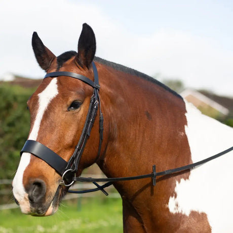 Brown horse with a white blaze wearing the stylish Gallop Hunter Bridle