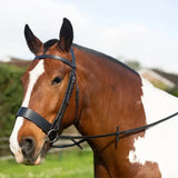 Black leather gallop hunter bridle with adjustable straps and metal hardware stylish hunter bridle for riding