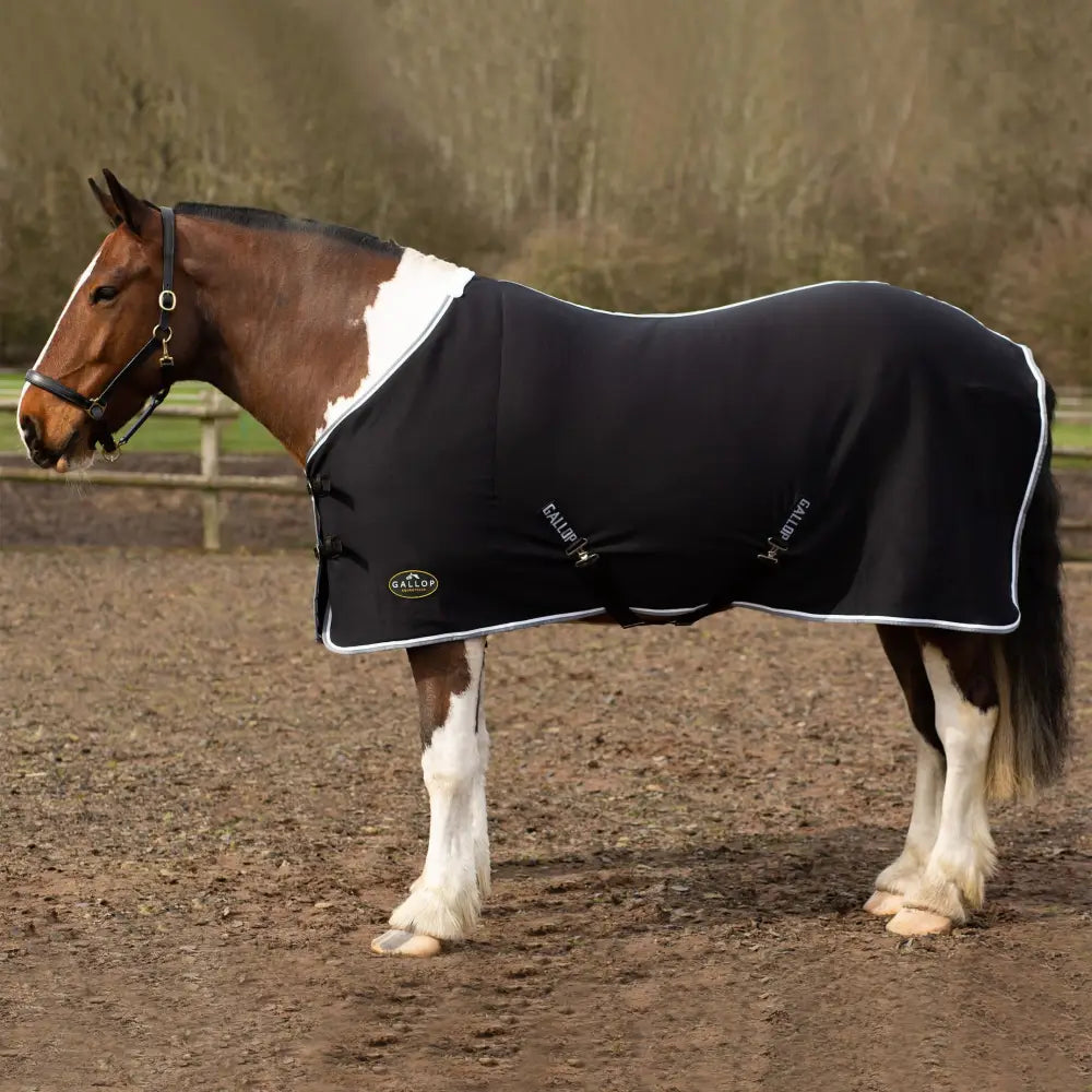 Black gallop jersey cooler rug with white trim and logo patch perfect as a jersey cooler rug or cooler rug green alternative