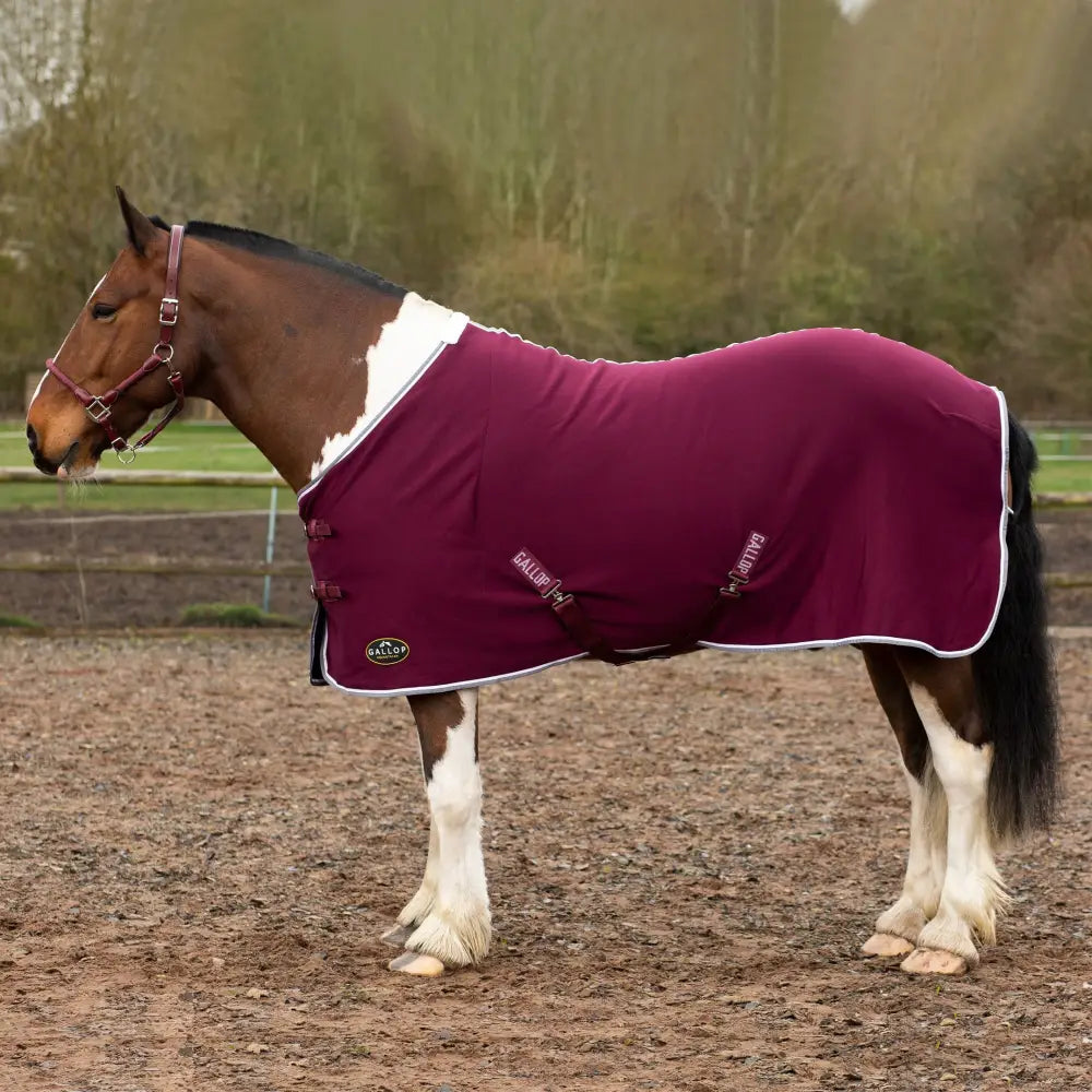 Maroon gallop jersey cooler rug with white trim and brand logo perfect as a jersey cooler rug or cooler rug green alternative