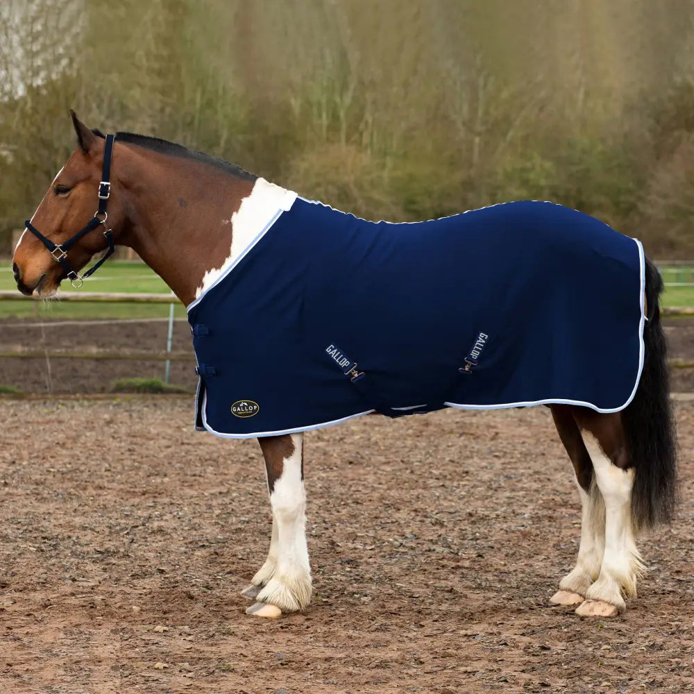 Navy blue gallop jersey cooler rug with white trim and brand logo perfect as a cooler rug green alternative