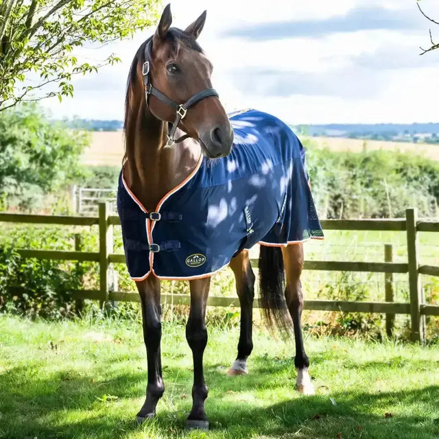 A navy blue gallop jersey mesh cooler rug with orange trim and silver buckles designed for warmth and comfort
