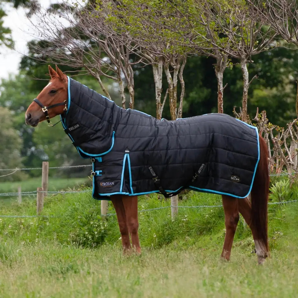 Gallop Maverick 300g Stable Rugs Heavyweight Combo 4'9 Stable Rugs Barnstaple Equestrian Supplies