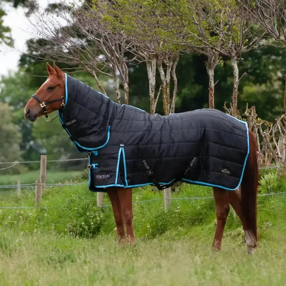 Black quilted gallop maverick 300g stable rug with teal trim and atroian branding heavyweight stable rugs combo