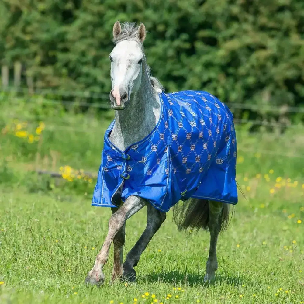 Gallop Monarch 0g Turnout Rug Standard Neck 4'6 Turnout Rugs Barnstaple Equestrian Supplies