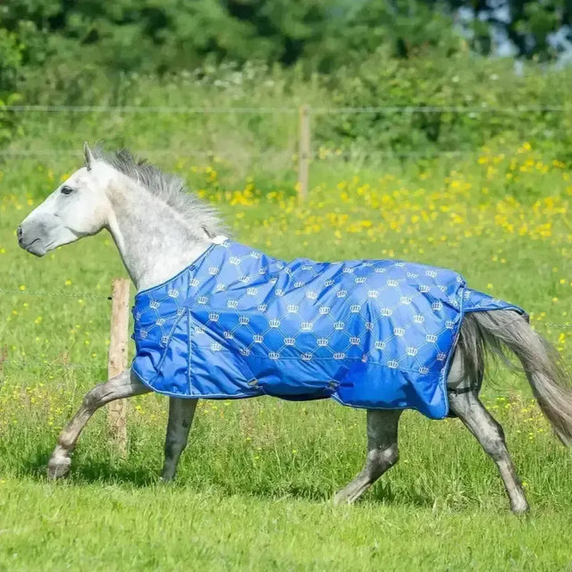 Gallop Monarch 0g Turnout Rug Standard Neck 4'6" Turnout Rugs