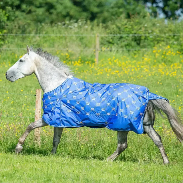 Gallop Monarch 0g Turnout Rug Standard Neck 4'6 Turnout Rugs Barnstaple Equestrian Supplies