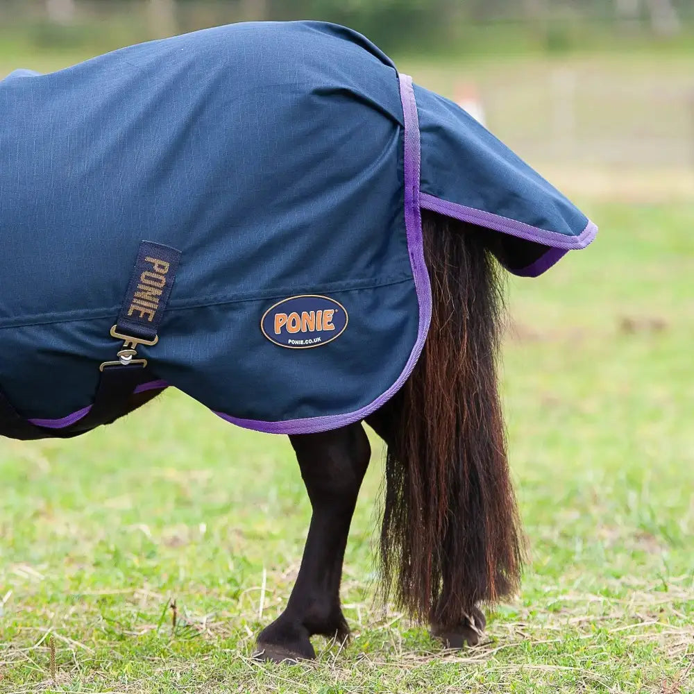 Gallop Ponie 0g Turnout Rug Lightweight Standard Neck Navy/Purple Bindings 3'6 Turnout Rugs Barnstaple Equestrian Supplies