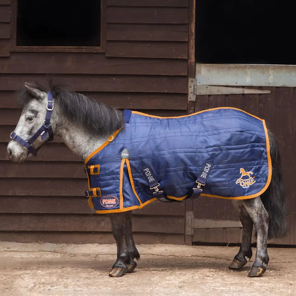 Blue quilted gallop ponie 100g stable rug with orange trim black buckles and ponie logo patch in navy color