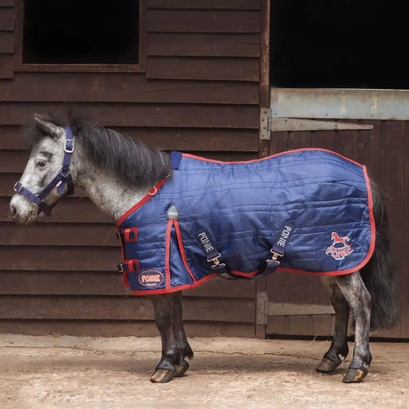 Blue quilted gallop ponie 200g stable rug with red trim and ponie 200g stable branding in navy color