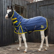 Blue and yellow quilted stable rug combo with black straps navy 420gsm outer gallop ponie 200g padded horse blanket