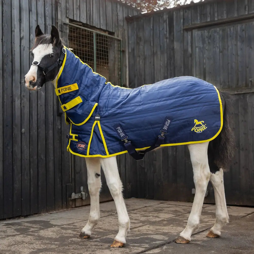 Blue and yellow quilted stable rug combo with black straps navy 420gsm outer gallop ponie 200g padded horse blanket