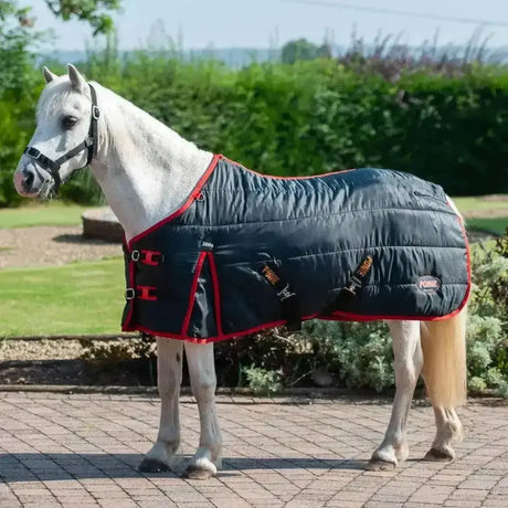 Dark blue quilted gallop ponie 200g stable rug medium weight with red trim black buckles and furse logo