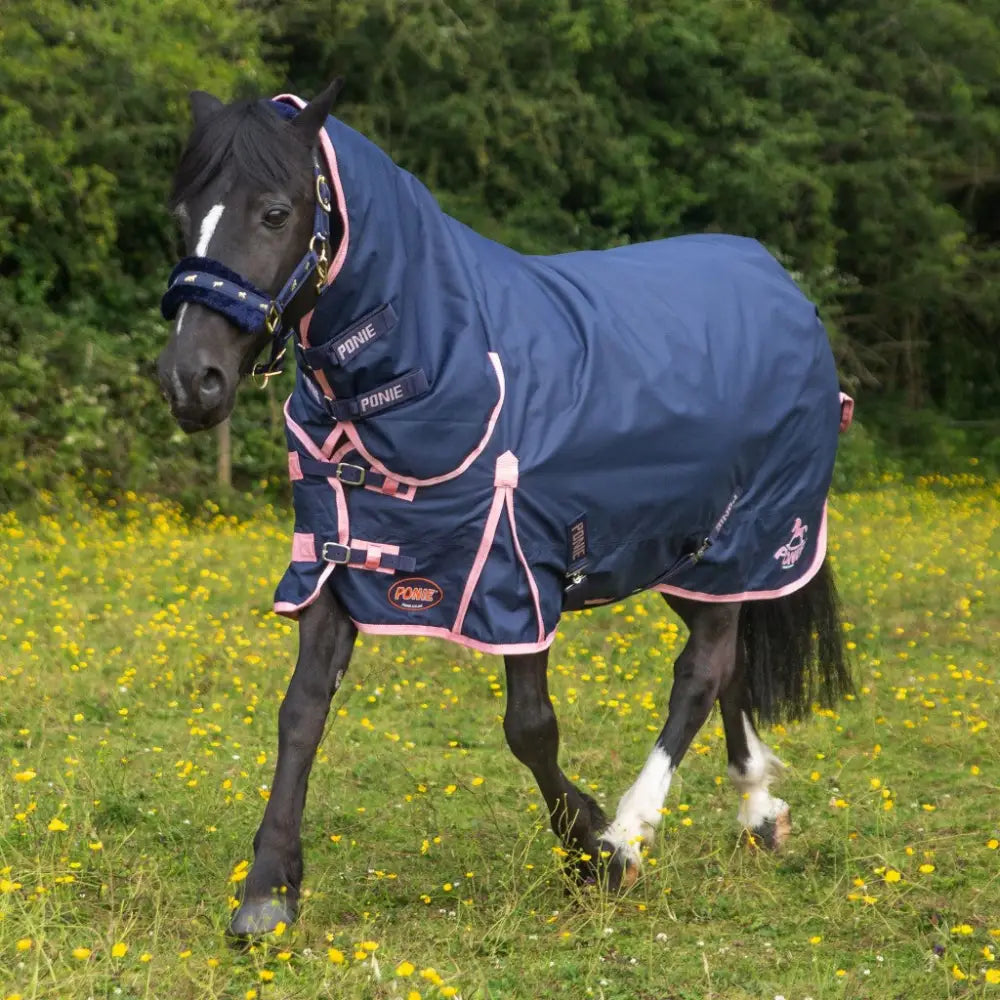 Gallop Ponie 50g Combo Turnout Horse Rug - Turnout Rugs