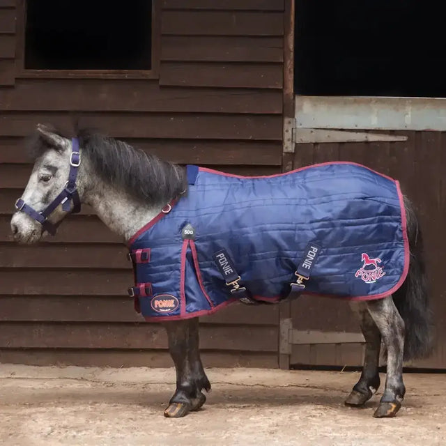 Blue quilted gallop ponie stable rug with red trim and neck cover for extra warmth and comfort