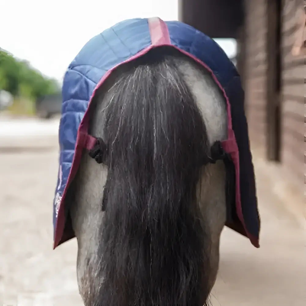 Blue quilted gallop ponie 50g stable rug with red trim and neck cover for comfortable horse protection