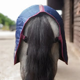 Blue quilted gallop ponie 50g stable rug with red trim and neck cover for comfortable horse protection