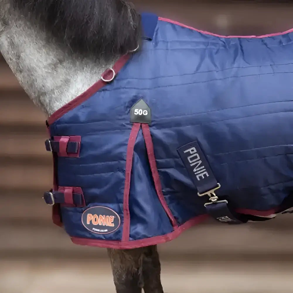 Navy blue quilted gallop ponie stable rug with red trim black buckles and ponie logo perfect for neck cover use