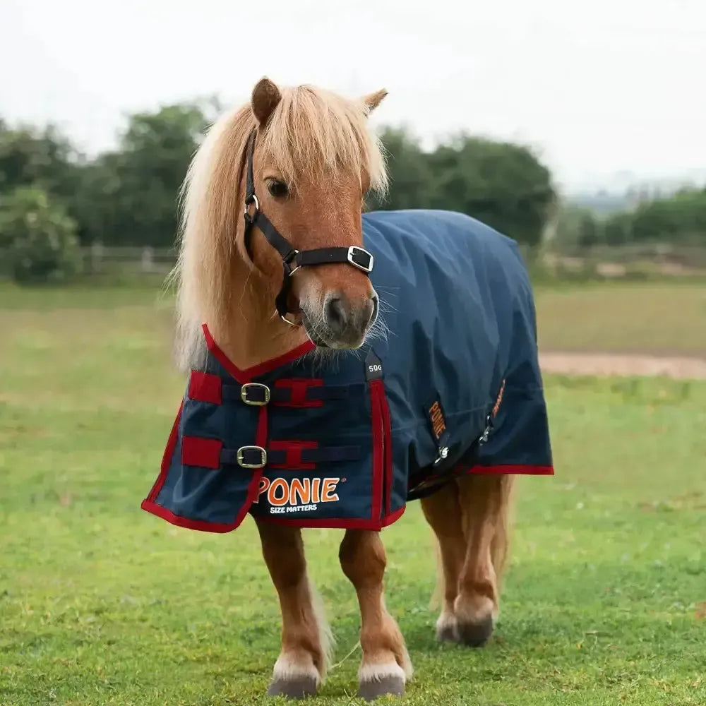 Gallop Ponie 50g Turnout Rug Lightweight Standard Neck 3'6" Turnout Rugs