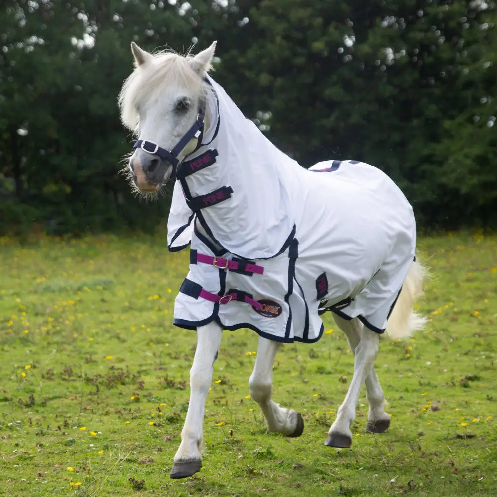 White horse wearing a white gallop ponie essential combo fly rug with black trim and pink buckles for fly protection