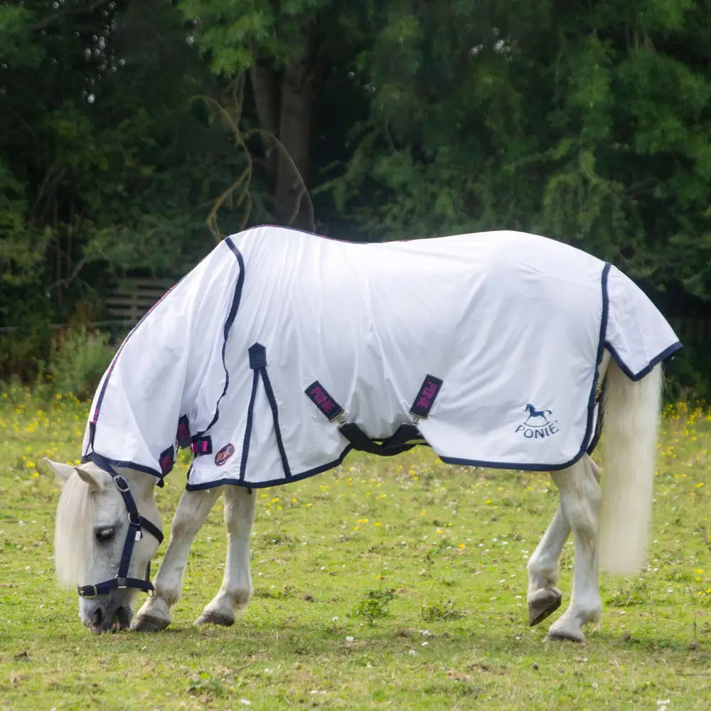 White ponie combo fly rug with navy blue trim and purple accents from gallop ponie essential line