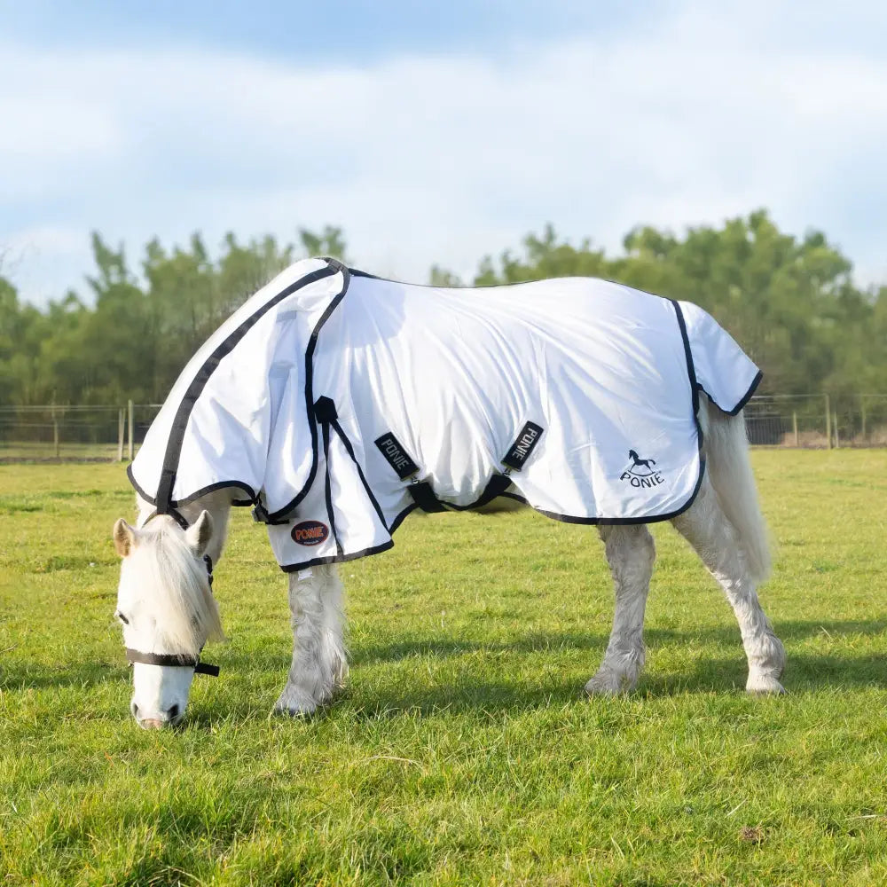 White horse blanket with black trim and adjustable straps from gallop ponie dual fly rug neck cover with nylon lining