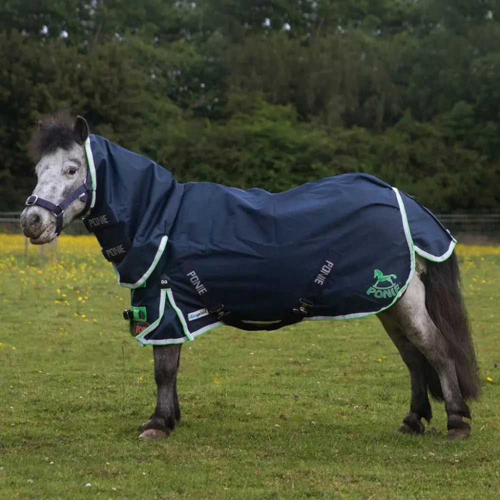 Navy blue gallop ponie duraproof lightweight turnout combo with light green trim and fixed neck for ponies