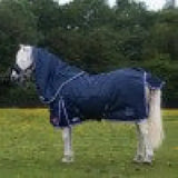 Gallop Ponie Duraproof 0g Turnout Rug Standard Neck 5-Point 3'6" Navy Turnout Rugs