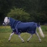 Gallop Ponie Duraproof 0g Turnout Rug Standard Neck 5-Point 3'6" Navy Turnout Rugs