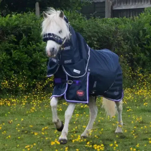Gallop Ponie Duraproof 0g Turnout Rug Standard Neck 5-Point 3'6" Navy Turnout Rugs