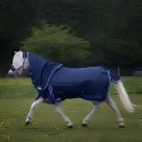A navy blue gallop ponie duraproof turnout rug standard neck 5-point with white trim designed to protect horses