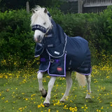 Navy blue gallop ponie duraproof turnout rug standard neck 5-point with purple trim front pocket and adjustable straps