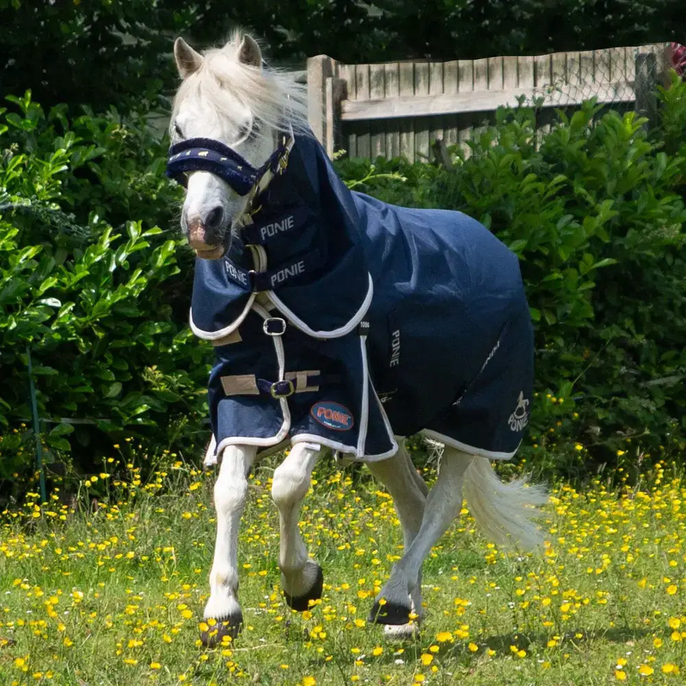 Navy blue gallop ponie duraproof 100g combo turnout rug with white trim front buckle and protective head flap