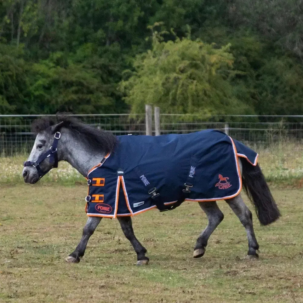 Gallop Ponie Duraproof 100g Lightweight Turnout Rug With Standard Neck 3'6" Turnout Rugs