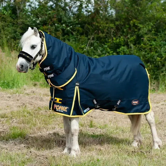 Navy blue gallop ponie duraproof turnout rug combo with yellow trim black buckles and 200g insulation