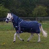 Navy blue gallop ponie duraproof 50g standard neck turnout rug with white trim and brand logos on the back side