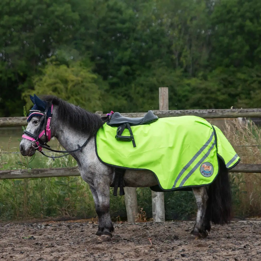 Bright neon green gallop ponie reflective exercise sheet with black trim and tail flap for equestrian use
