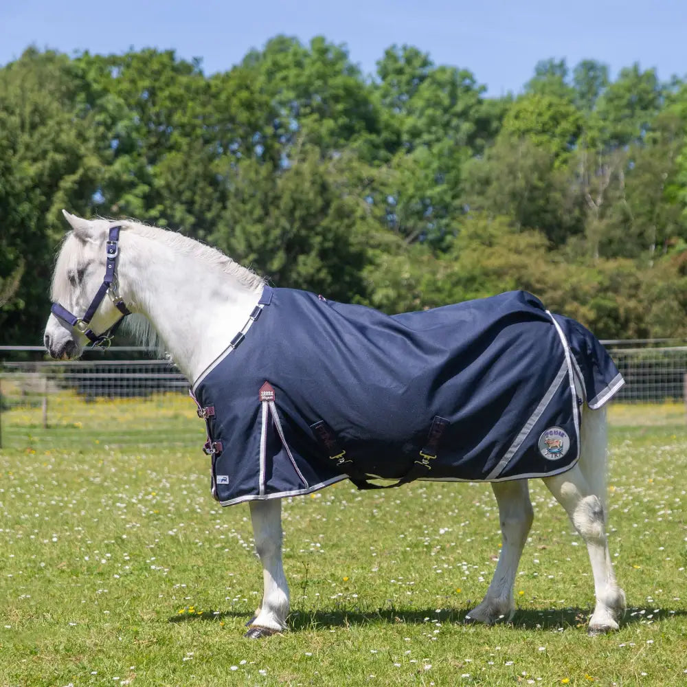 Navy blue gallop ponie xtra duraproof 50g turnout horse blanket with white trim and black buckles for ponies