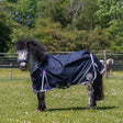 A navy blue gallop ponie xtra duraproof lightweight turnout horse rug with purple white trim and circular logo on side